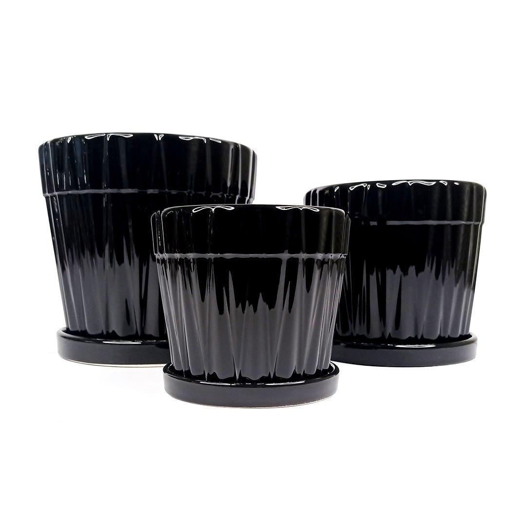 Set de 3 Maceteros Negros con relieves